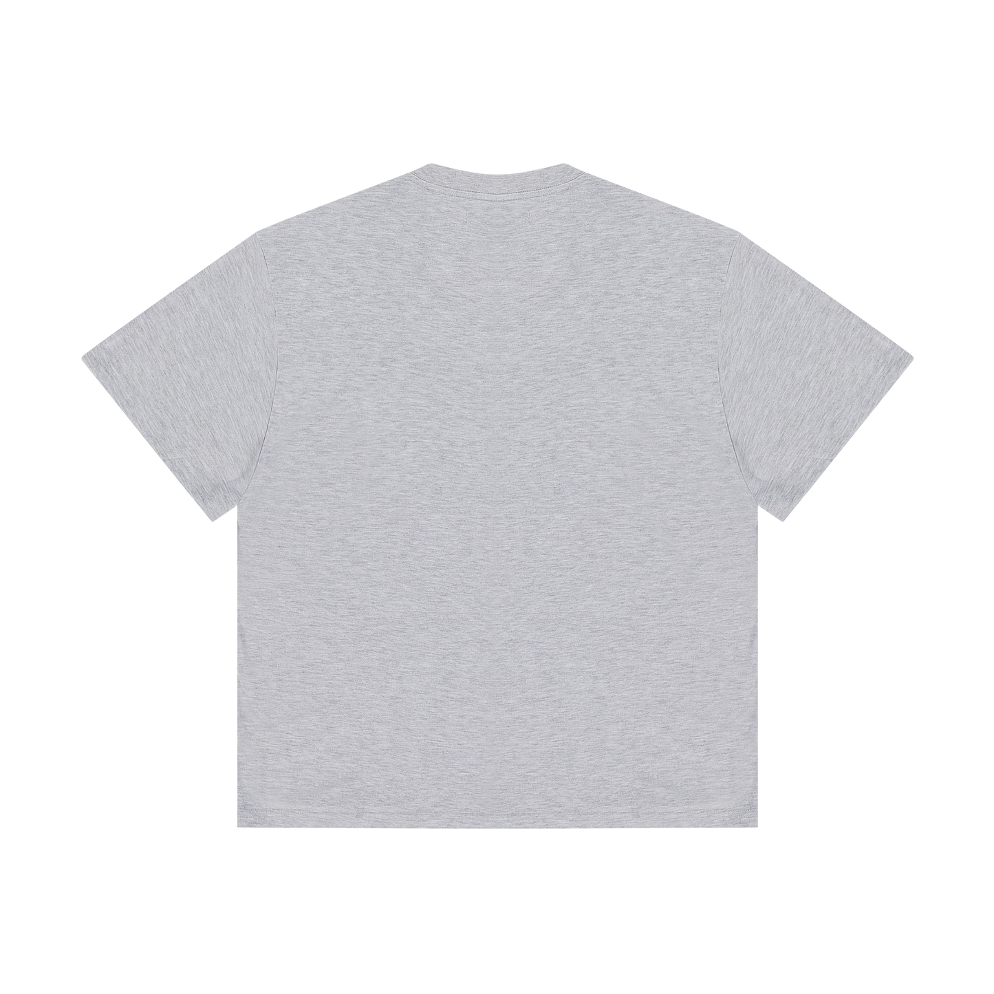International Pre Game 2025 T-shirt light Gray Marl