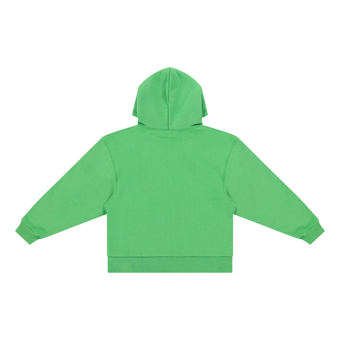 International Pre Game 2024 Hoodie Light Green