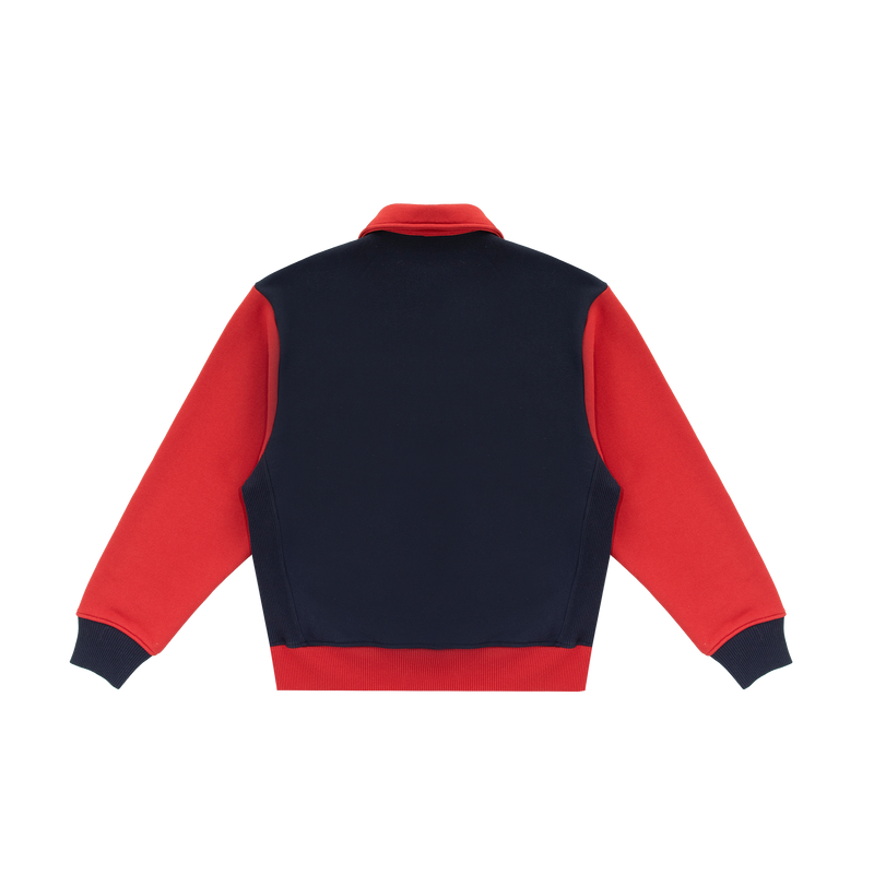 Pre Game Half Zip - Packshot Back