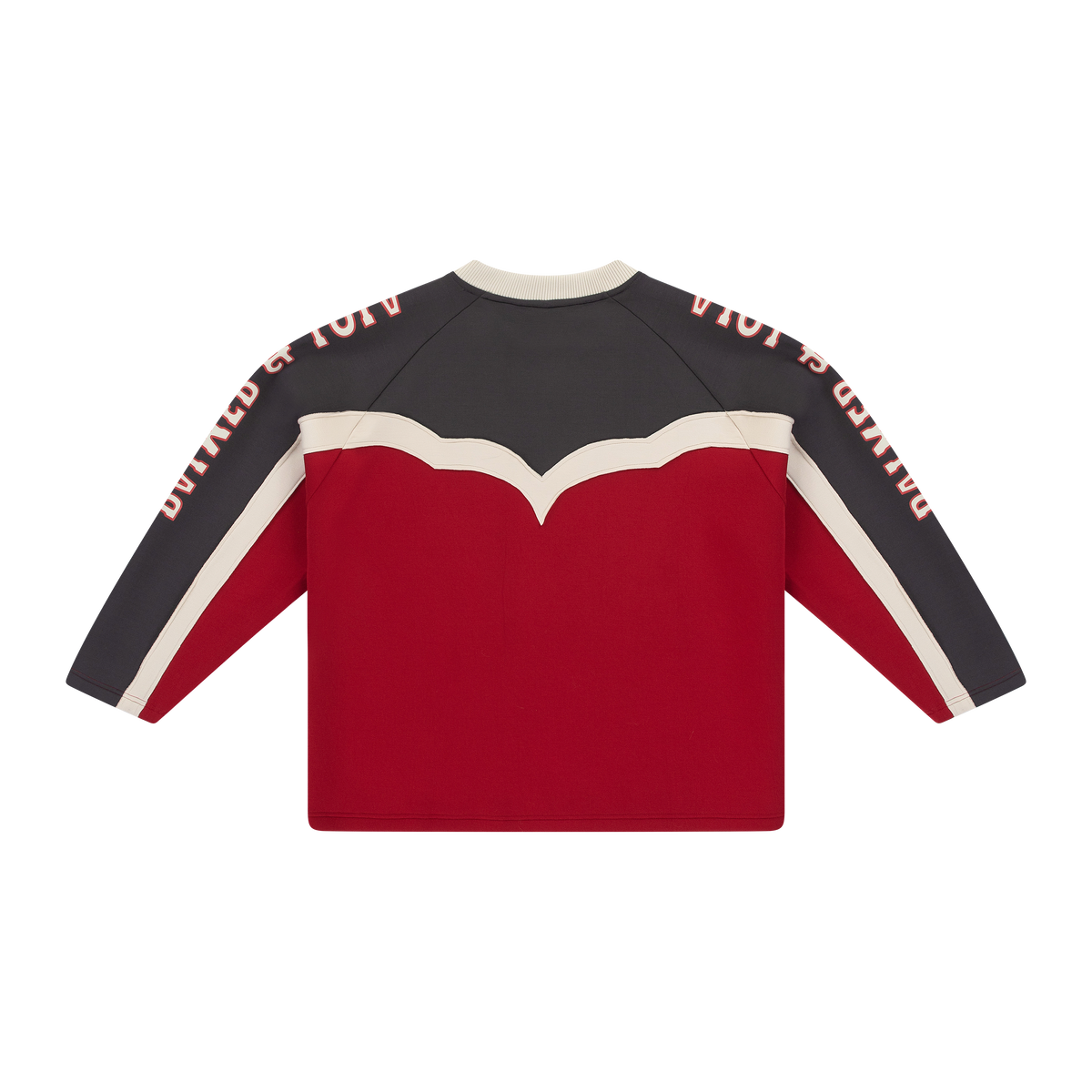 Rodeo Jersey Longsleeve - Packshot Back